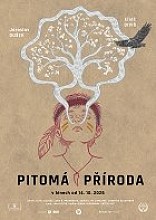 Plakát filmu Pitomá příroda