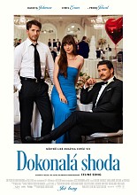 Dokonalá shoda Plakát filmu Dokonalá shoda